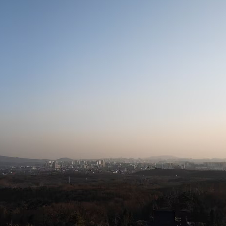 Shiarin的头像